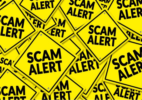 on yavin scammer hunter shares how to spot scams